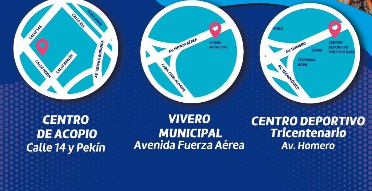 Colocan contenedores para depósito de ramas de poda