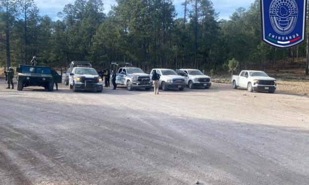 Mantienen Bases de Operación Interinstitucional operativo de disuasión de delitos en Guadalupe y Calvo
