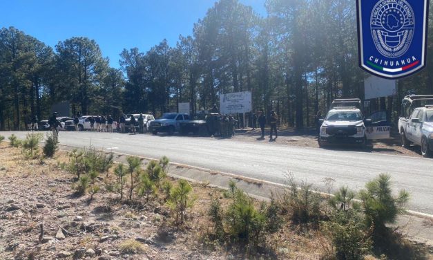 Mantienen Bases de Operación Interinstitucional operativo de disuasión de delitos en Guadalupe y Calvo
