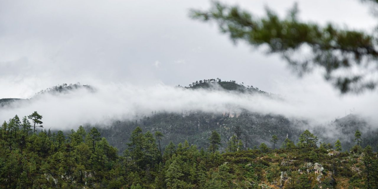 Emite CEPC alerta preventiva por Cuarta Tormenta Invernal y frente frío número 25