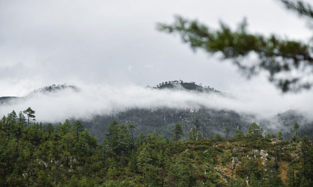 Emite CEPC alerta preventiva por Cuarta Tormenta Invernal y frente frío número 25