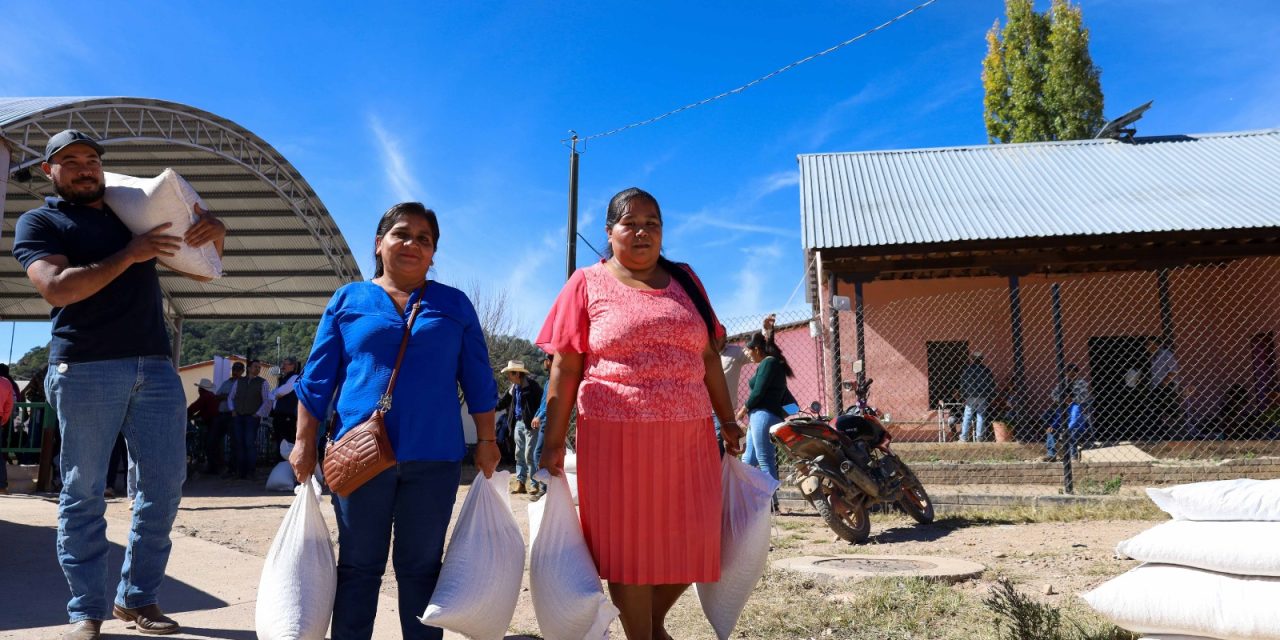 Coordina DIF Estatal estrategia para la entrega oportuna de cobijas, frijol y maíz a familias de municipios serranos