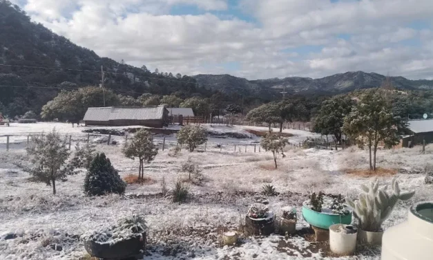 Reporta CEPC incidencias en 47 municipios por condiciones climatológicas