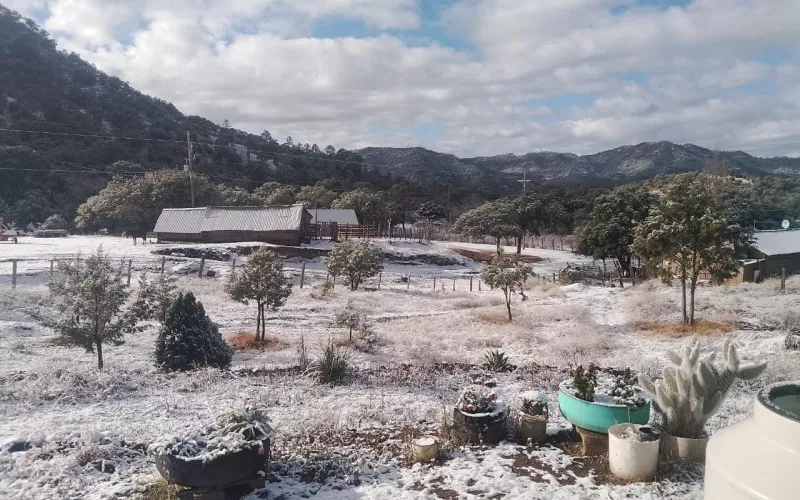 Reporta CEPC incidencias en 47 municipios por condiciones climatológicas