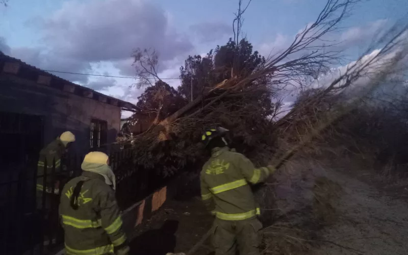 Da a conocer Protección Civil Estatal reporte de incidentes por fuentes vientos