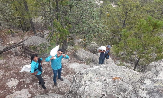 Reconoce Gobierno desnutrición en once municipios