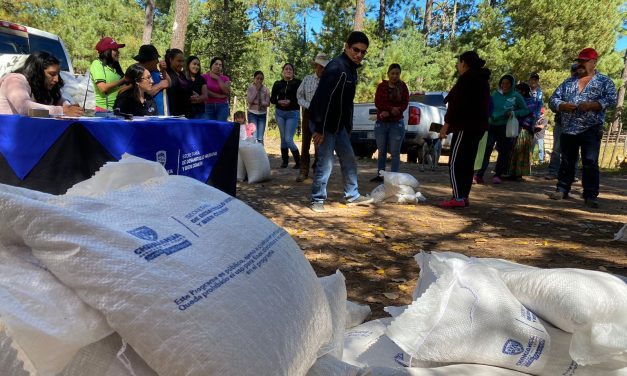 Reconoce Gobierno desnutrición en once municipios