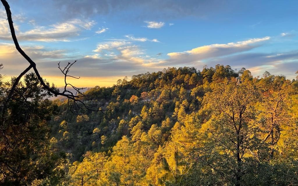Nuevo frente frío traerá vientos, lluvia y nieve para la Sierra Tarahumara este fin de semana: Protección Civil Estatal