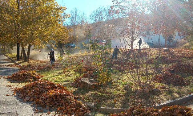 Servicios Públicos trabaja en la rehabilitación de áreas verdes