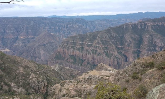 Coordina Protección Civil operativo conjunto de rescate en la barranca Sinforosa