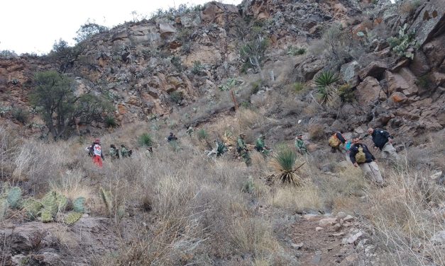 Coordina Protección Civil operativo conjunto de rescate en la barranca Sinforosa