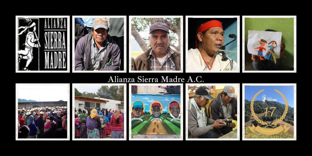 17 aniversario de Alianza Sierra Madre A.C.
