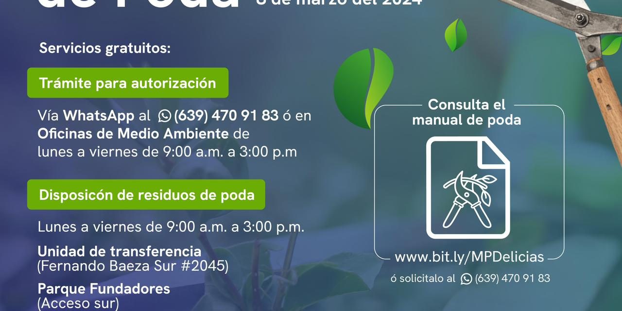 Inicia temporada de poda en Delicias con medida especiales