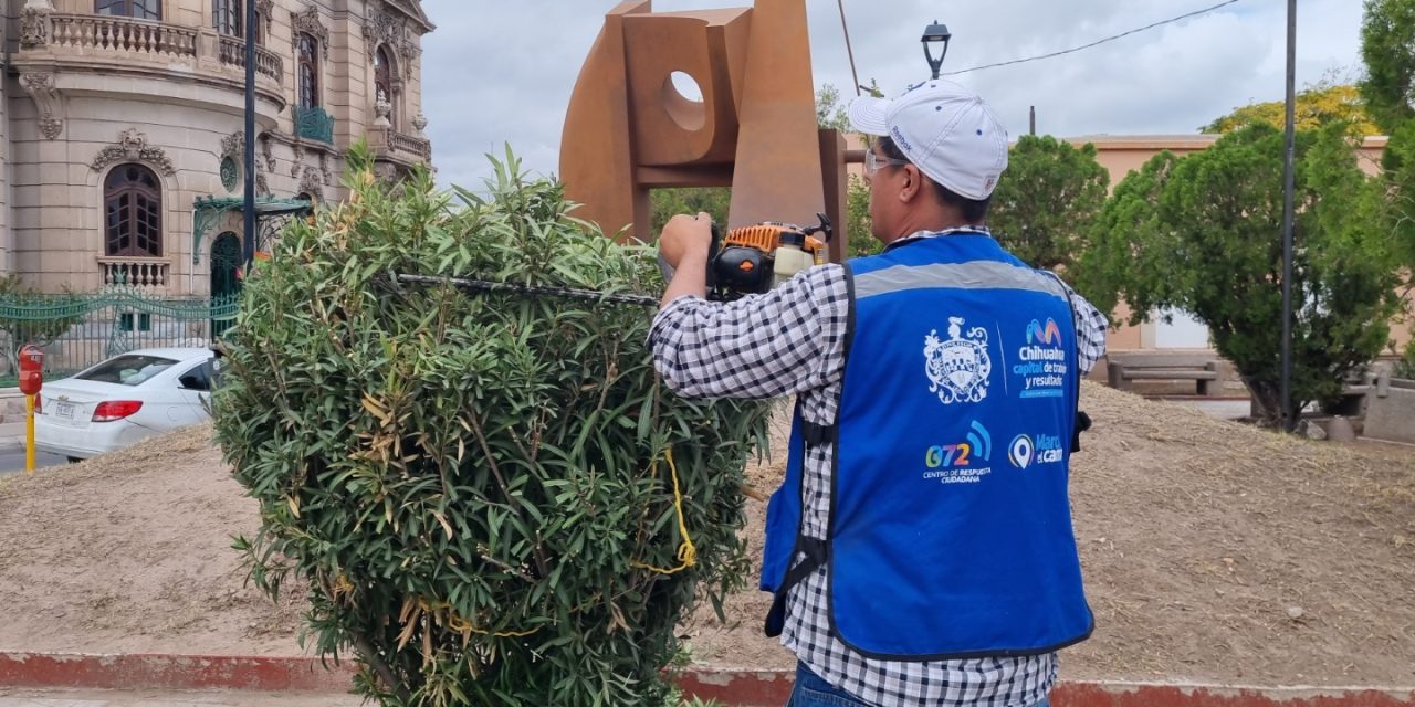 Poda Municipio más de 500 parques en la Capital
