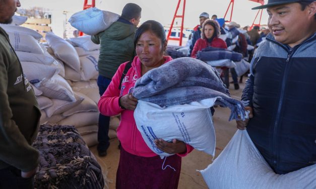 Entrega Estado apoyos para 1,500 familias de Guadalupe y Calvo