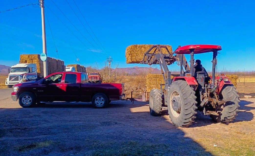 Entregan en Meoqui pacas de rastrojo subsidiadas, el programa beneficiará a cerca de 60 productores