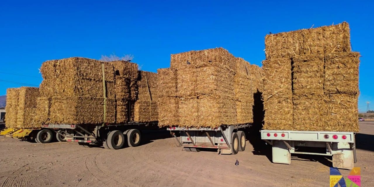Entregan en Meoqui pacas de rastrojo subsidiadas, el programa beneficiará a cerca de 60 productores