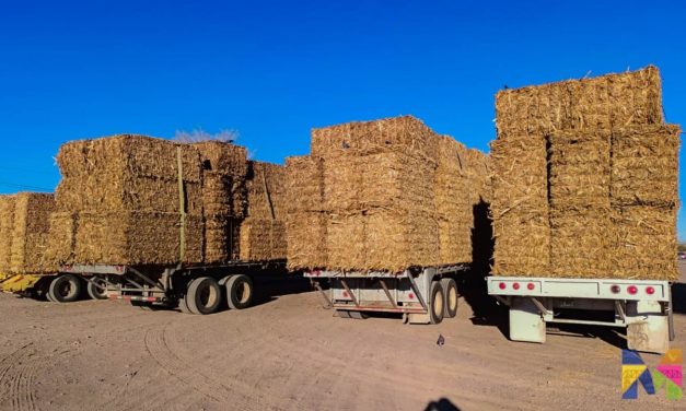 Entregan en Meoqui pacas de rastrojo subsidiadas, el programa beneficiará a cerca de 60 productores