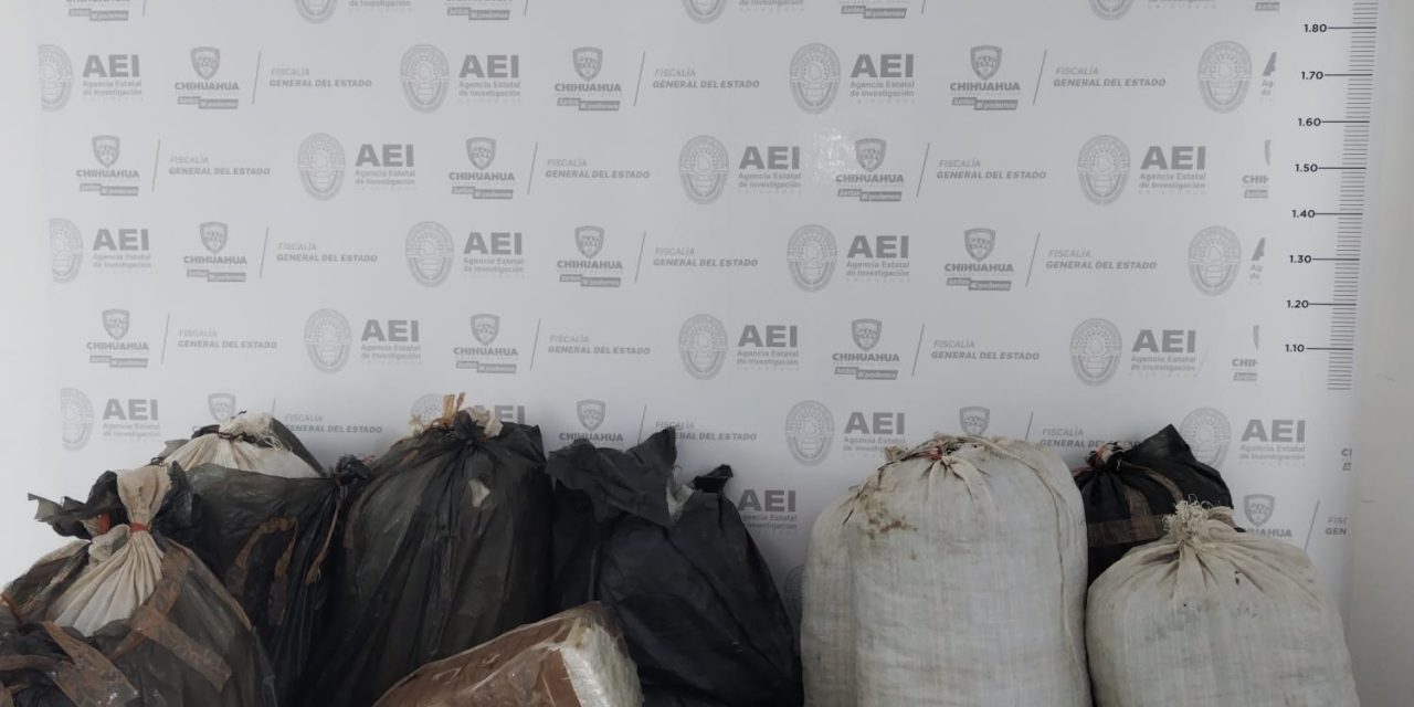 Asegura AEI Occidente 171 kilos de mariguana