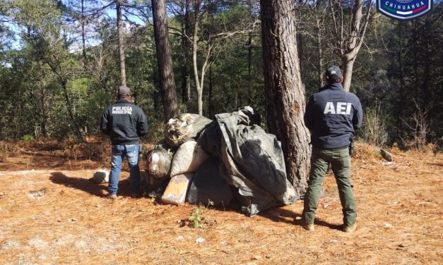 Asegura AEI Occidente 171 kilos de mariguana