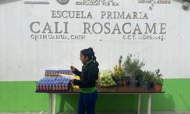 Celebra Chelita Rojas el Día de la Educación Ambiental con plática en la primaria “Cali Rosacame”