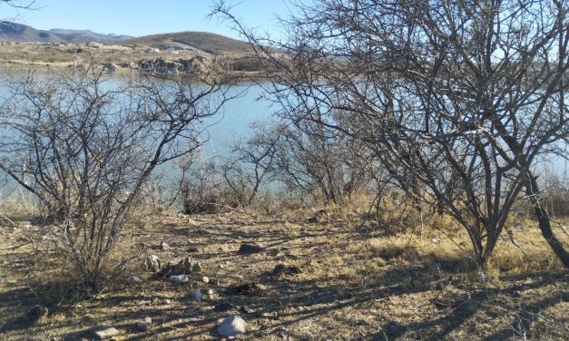 Éxito Rotundo en la Jornada de Limpieza y Concientización en la Presa Chihuahua
