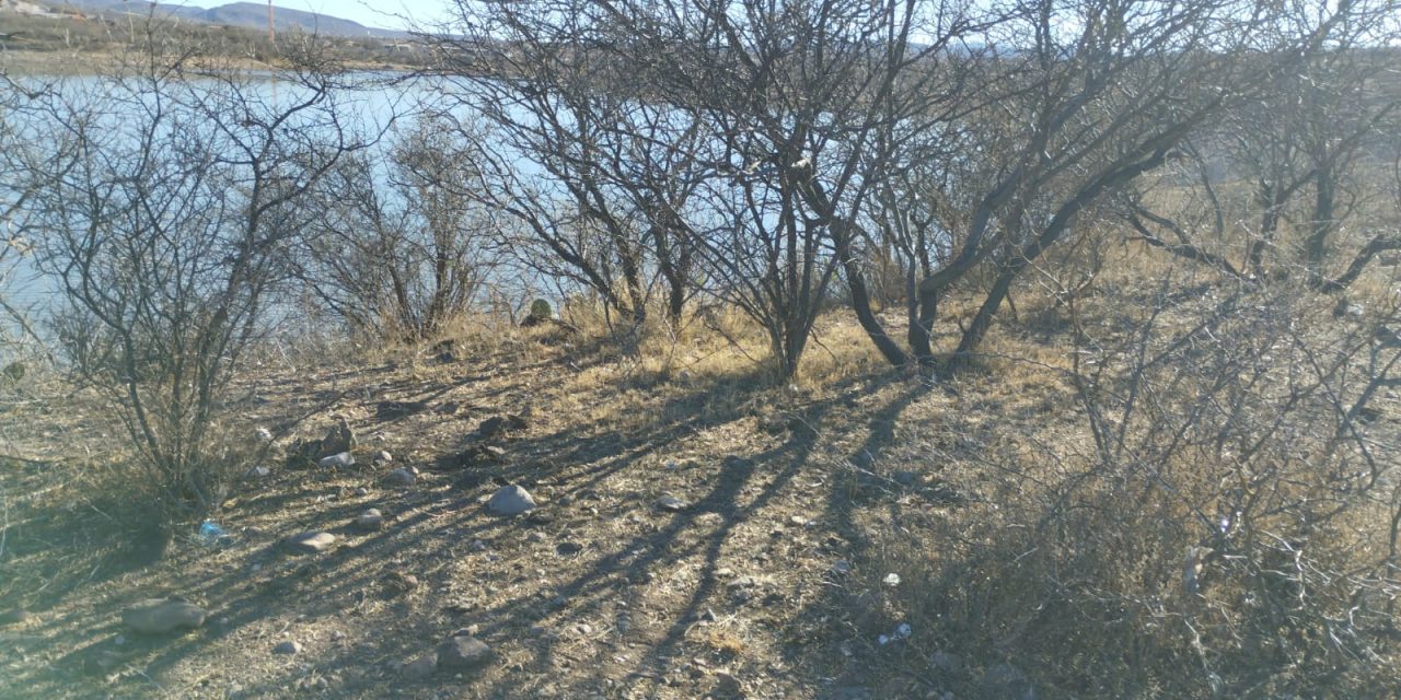 Éxito Rotundo en la Jornada de Limpieza y Concientización en la Presa Chihuahua