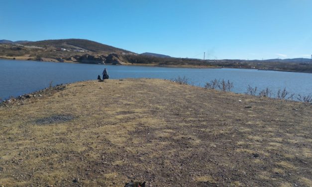 Éxito Rotundo en la Jornada de Limpieza y Concientización en la Presa Chihuahua