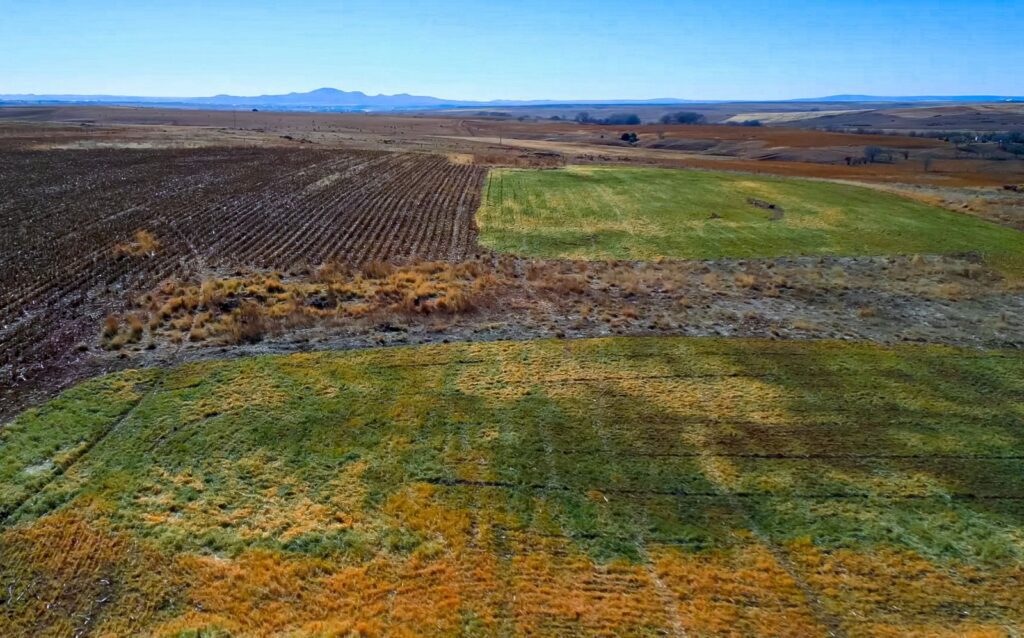 Asegura Domingo Portillo su producción gracias a los apoyos que brinda el Estado al sector agrícola