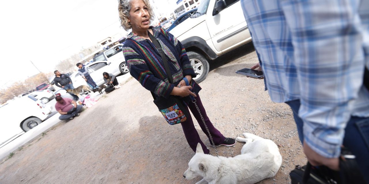 Rescata a perrita y como muestra de responsabilidad la esteriliza