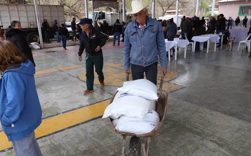 Reciben apoyo alimentario 500 familias en condición de vulnerabilidad