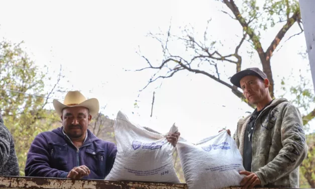 Reciben apoyo alimentario 500 familias en condición de vulnerabilidad