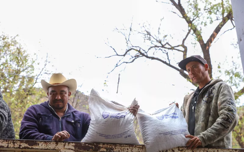 Reciben apoyo alimentario 500 familias en condición de vulnerabilidad