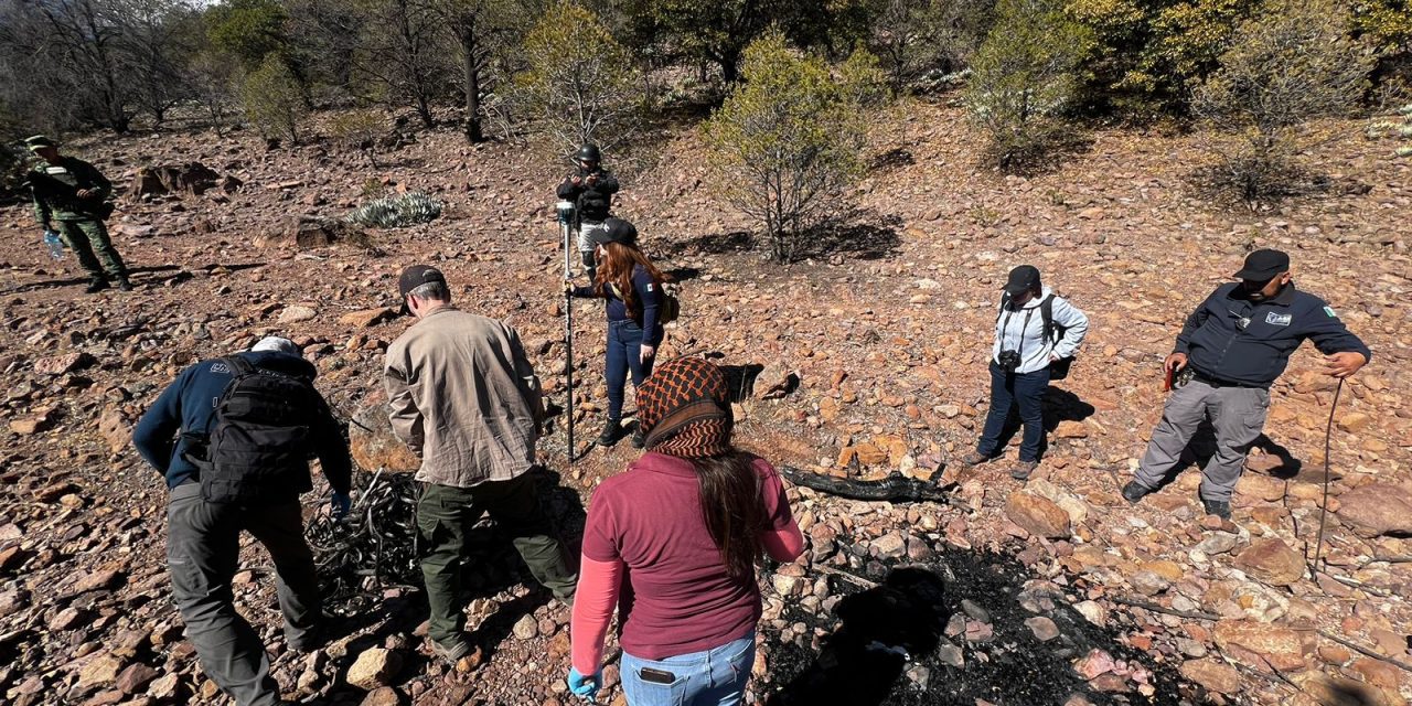 Trabajan CLB y Equipo Argentino de Antropología en segunda fase de la inspección en Ejido 6 de Enero