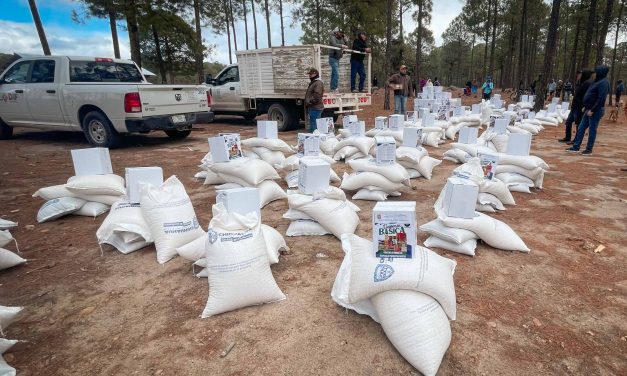 Llevan apoyos a 120 familias de la comunidad de Pitorreal