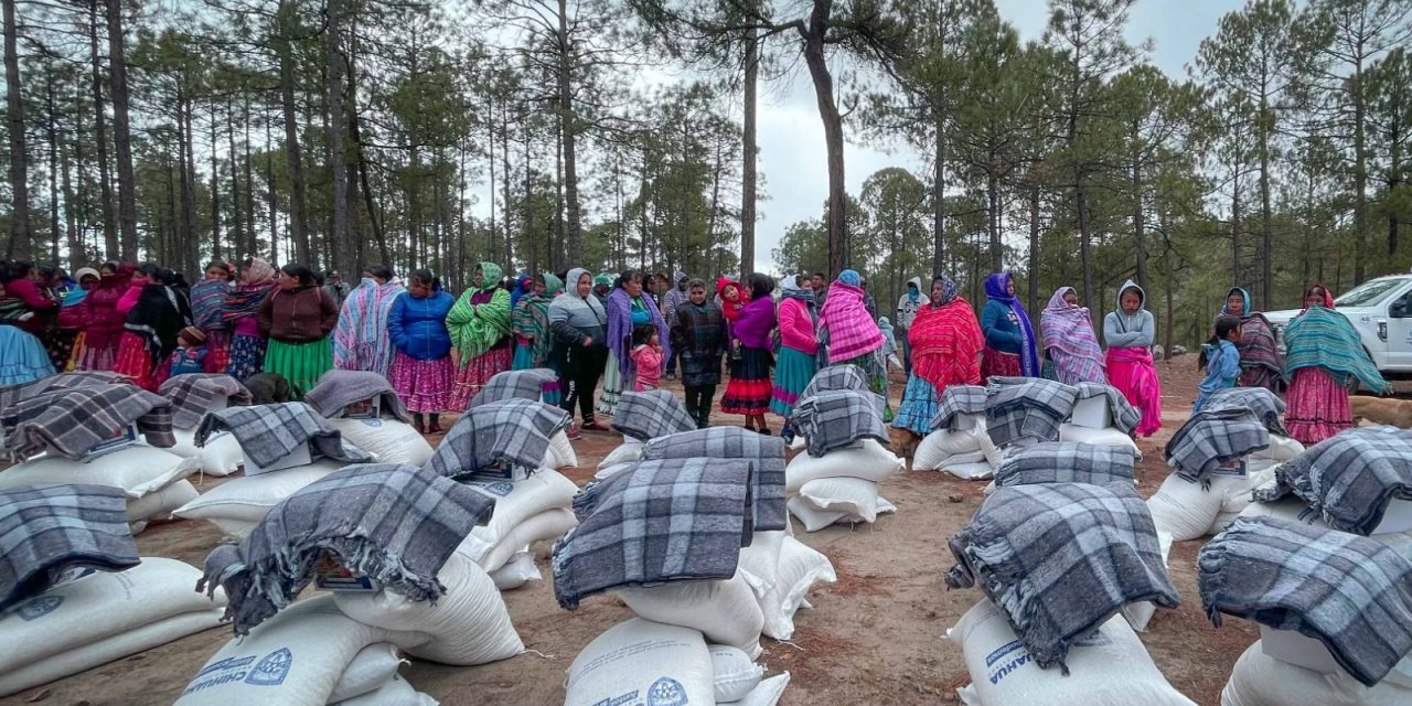 Llevan apoyos a 120 familias de la comunidad de Pitorreal
