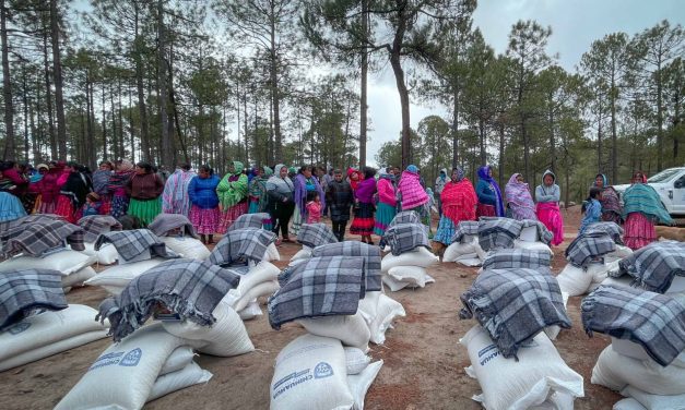 Llevan apoyos a 120 familias de la comunidad de Pitorreal