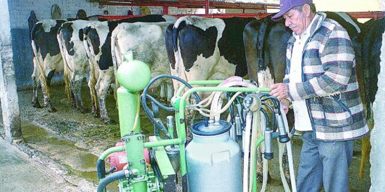 Desaparece 60% de lecheros por baja rentabilidad
