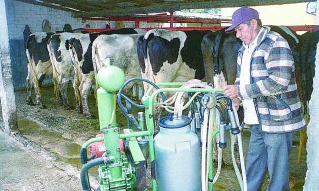 Desaparece 60% de lecheros por baja rentabilidad