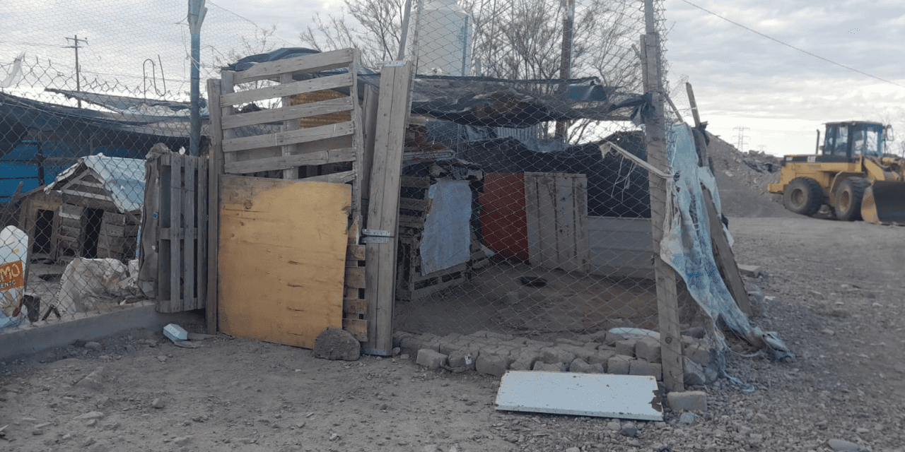 Envenenan a 11 perritos en Jiménez