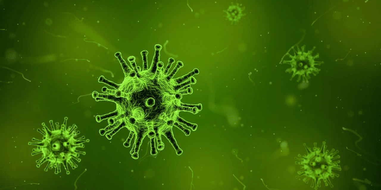 Chihuahua en vigilancia epidemiológica por sarampión