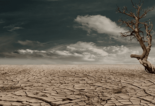 Se perderían 200 mil hectáreas por falta de lluvias