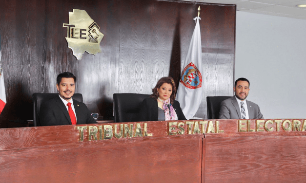 Otorga triunfo TEE a Roberto Carreón en distrito 19