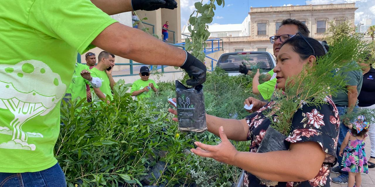 Entregan 3 mil árboles y plantan a población en general