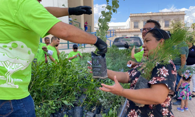 Entregan 3 mil árboles y plantan a población en general