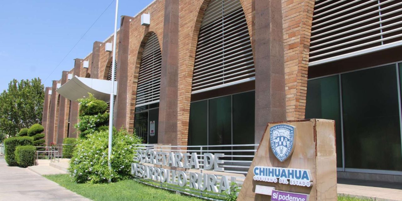 Invierte Desarrollo Rural 6 mdp para la adquisición de semilla de frijol