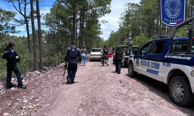 Despliegan BOI Operativos de Seguridad en Guadalupe y Calvo