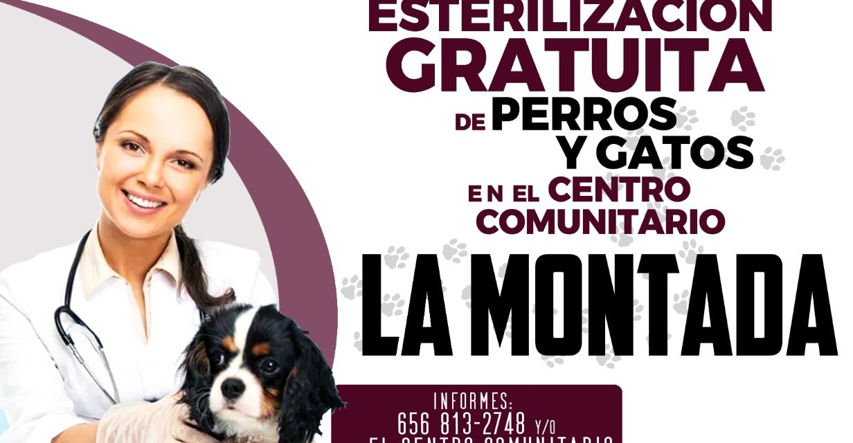 Hoy Campaña de Esterilización Gratuita en el Centro Comunitario La Montada