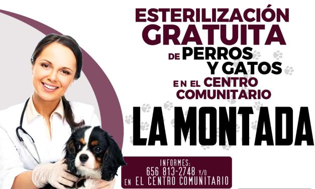 Hoy Campaña de Esterilización Gratuita en el Centro Comunitario La Montada