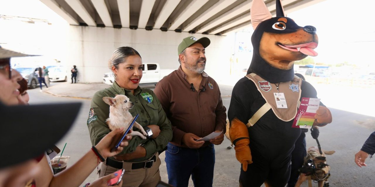 Busca Ecología generar conciencia sobre el maltrato animal